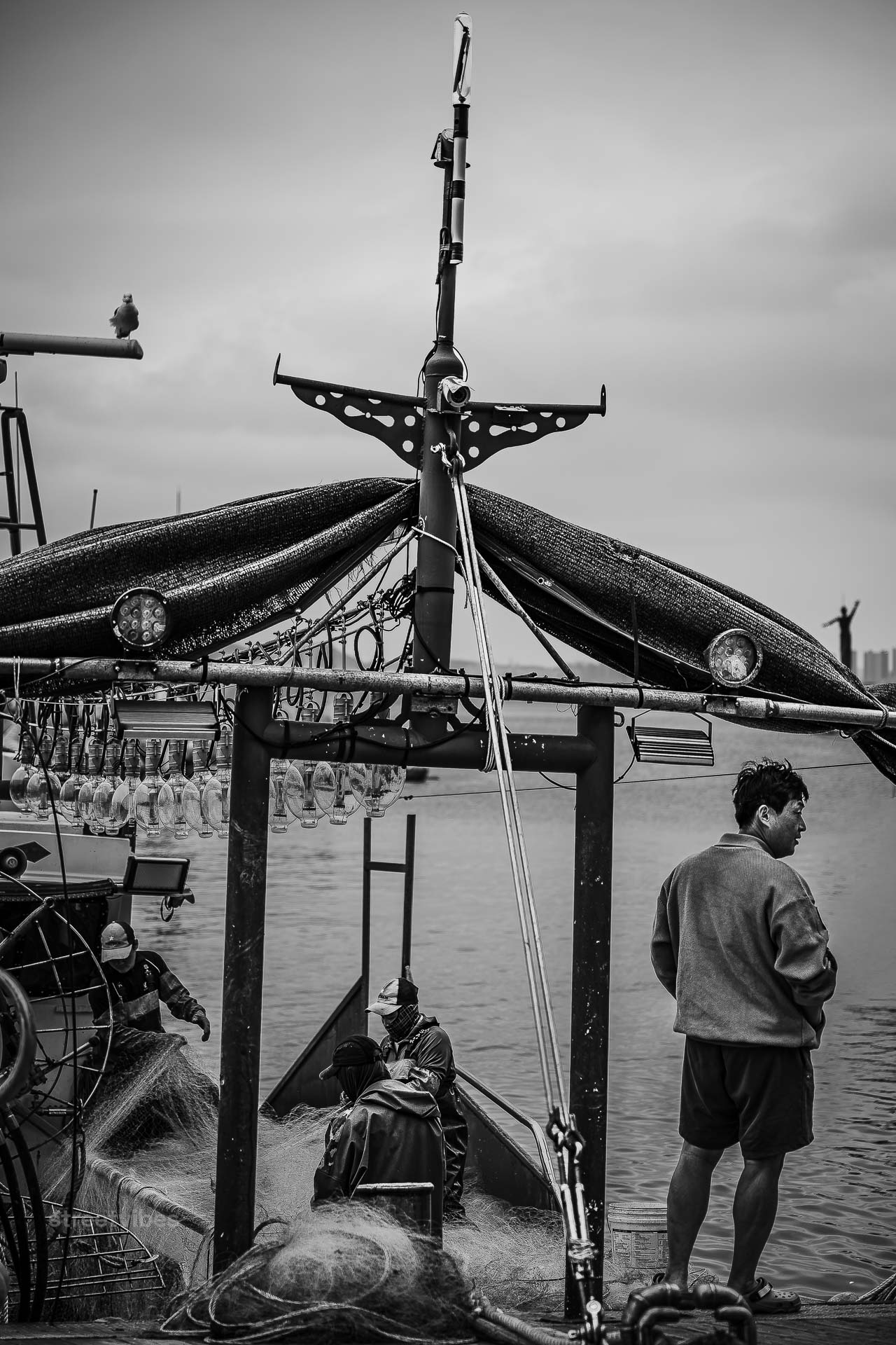 Die Fischerei ist das historische Fundament und die Seele von Busan. Als größte Hafenstadt Südkoreas hat die harte Arbeit der Fischer über Generationen hinweg die Identität, die Wirtschaft und die kulinarische Kultur der Stadt geprägt.