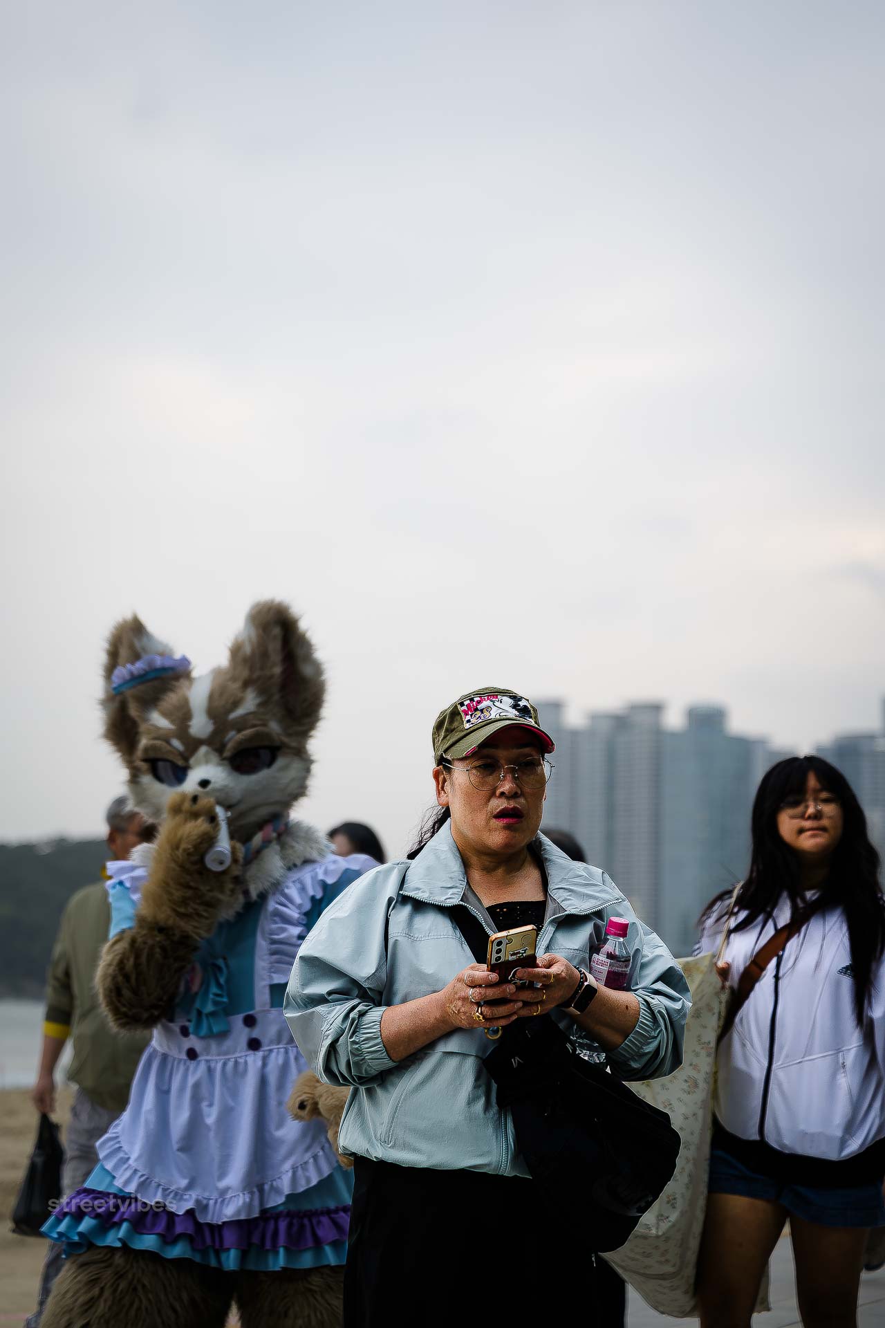 Fursuit-K-Pop: Korea verbindet seine Musikindustrie mit dem Fandom. Berühmtes Beispiel ist die Fursuit-K-Pop-Band BASTTIE. Die fünf Mitglieder treten in maßgeschneiderten Fursuits auf, veröffentlichen professionelle Musikvideos und verbinden Idol-Kultur mit Furry-Art.