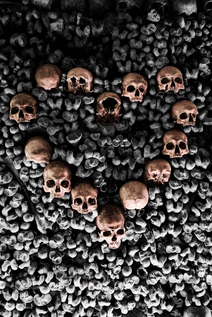 Für den offiziellen, für Touristen zugänglichen Teil nutzen Pariser schlicht den Namen „Les Catacombes“ oder die offizielle Bezeichnung „L'Ossuaire municipal“ (das städtische Beinhaus).
