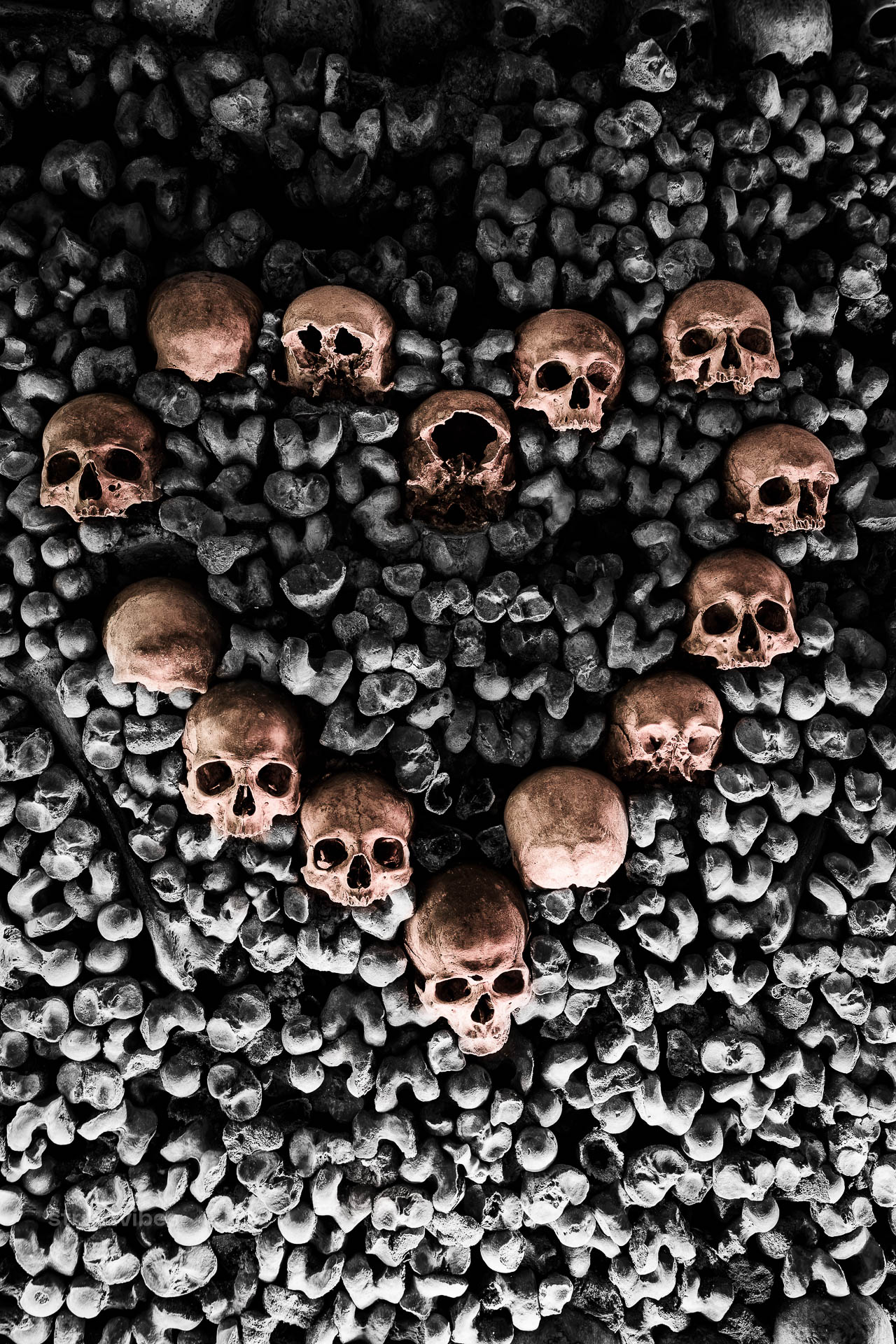 Für den offiziellen, für Touristen zugänglichen Teil nutzen Pariser schlicht den Namen „Les Catacombes“ oder die offizielle Bezeichnung „L'Ossuaire municipal“ (das städtische Beinhaus).